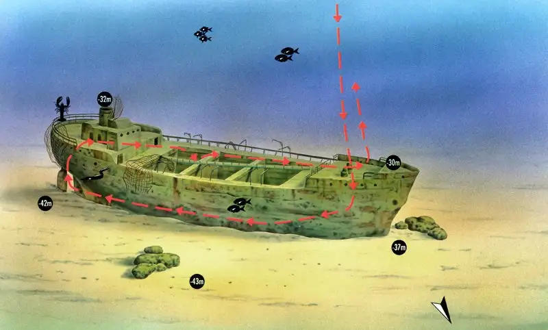 Esquema del buceo