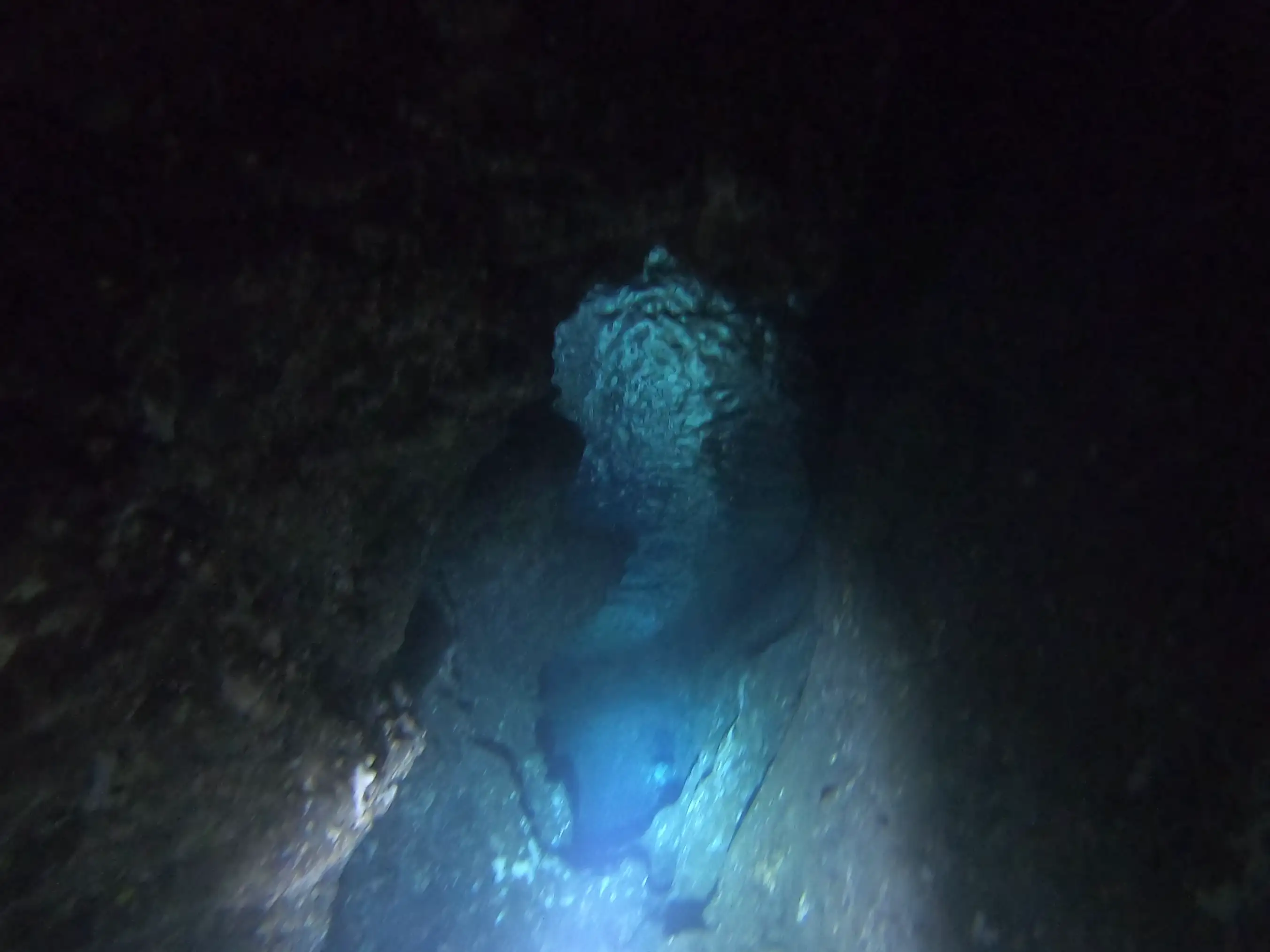 Antes de sacar la cabeza en la lamina de agua